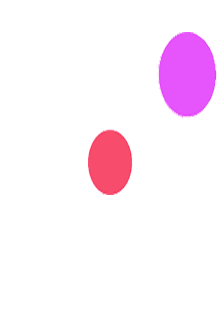 小狗吉米走私事件